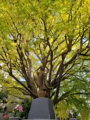 回向院(東京都)