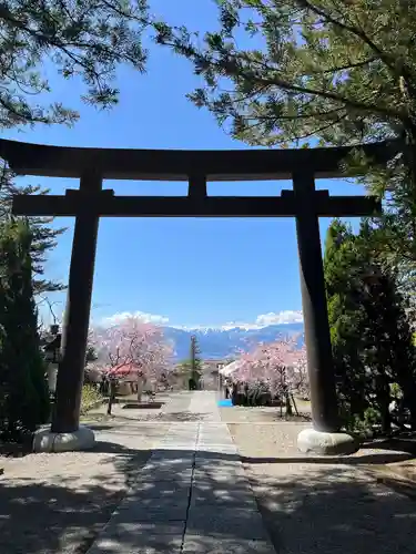 山梨縣護國神社の鳥居