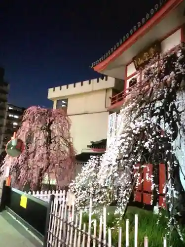 成願寺(東京都)