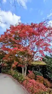 勝尾寺(大阪府)