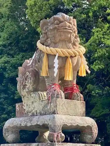 冠纓神社の狛犬