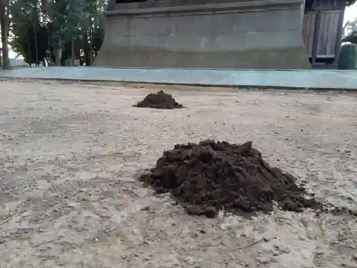 伏木香取神社のその他建物
