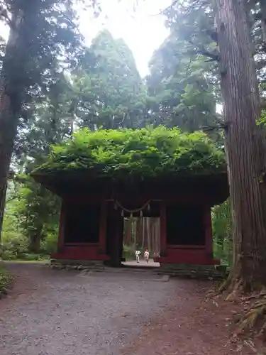 戸隠神社奥社(長野県)