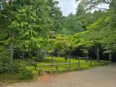 地藏院(京都府)