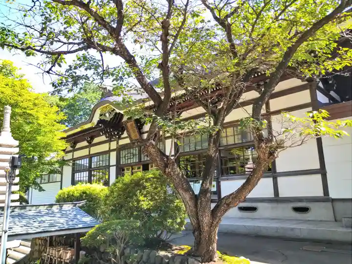 仁叟寺(秋田県)