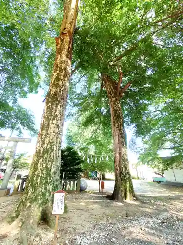 松山神社(埼玉県)