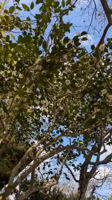 大豊神社(京都府)