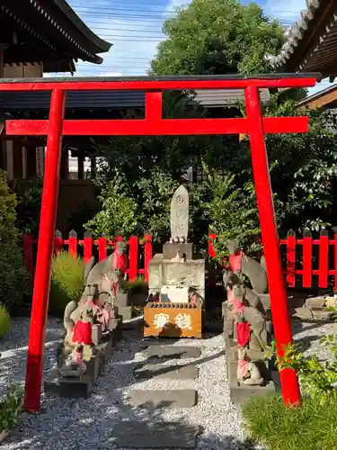 於菊稲荷神社(群馬県)