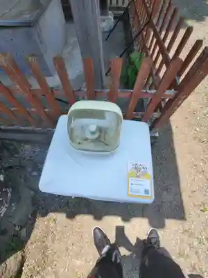 佛母寺(埼玉県)