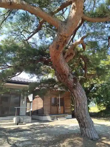 富士神社（伊達崎）(福島県)
