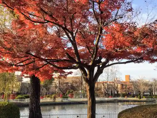 開成山大神宮の自然