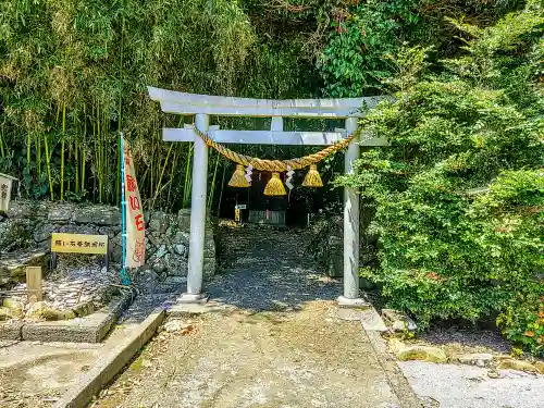 筒島弁財天の鳥居