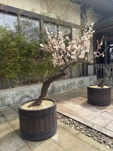 岩津天満宮(愛知県)