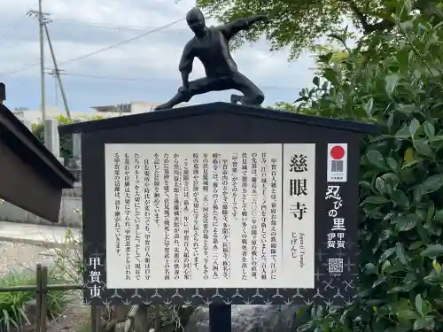 慈眼寺の{uncategorized: "未分類", other: "その他", undefined: "問題あり", building: "その他建物", grave: "お墓", sacred_gate: "鳥居", guardian: "狛犬", statue: "像", buddha: "仏像", history: "歴史", nature: "自然", garden: "庭園", animal: "動物", pagoda: "塔", temizu: "手水舎", mountain_gate: "山門・神門", sanctuary: "本殿・本堂", subordinate: "末社・摂社", art: "芸術", scenery: "景色", jizo: "地蔵", ema: "絵馬", goshuin: "御朱印", omikuji: "おみくじ", items: "授与品その他", amulet: "お守り", goshuincho: "御朱印帳", eats: "食事", festival: "お祭り", votive_dance: "神楽", shichigosan: "七五三参", wedding: "結婚式", experience: "体験その他", initially: "初詣", around: "周辺", anti_infection: "感染症対策"}