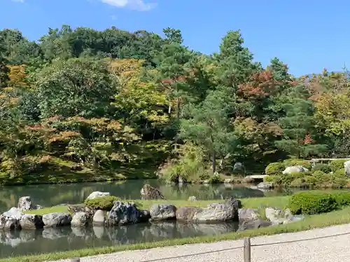 天龍寺の庭園