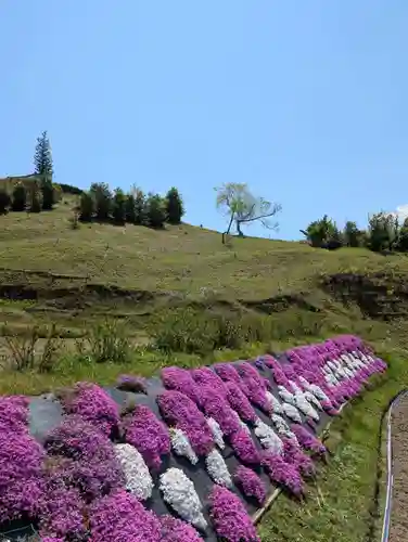 法輪寺(岡山県)