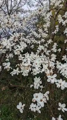 正法寺(京都府)