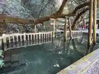 鹿島神宮(茨城県)