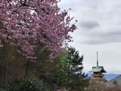 大雲院(京都府)