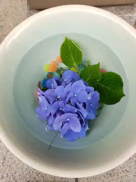 白金氷川神社の手水舎