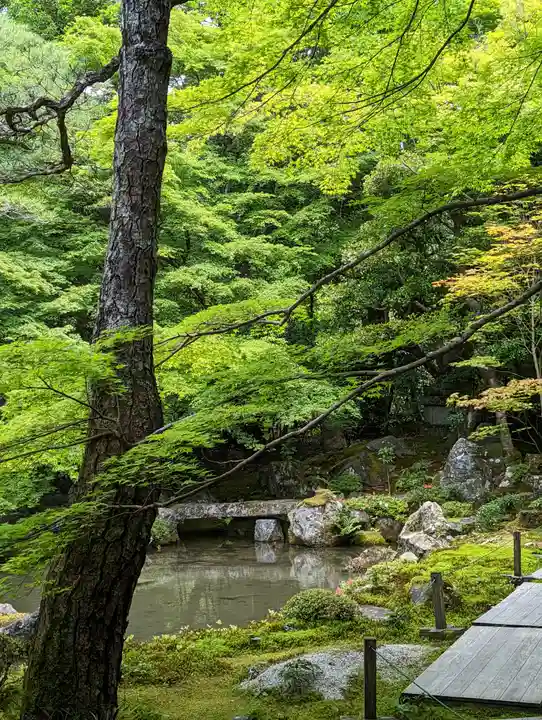 蓮華寺(洛北蓮華寺)(京都府)