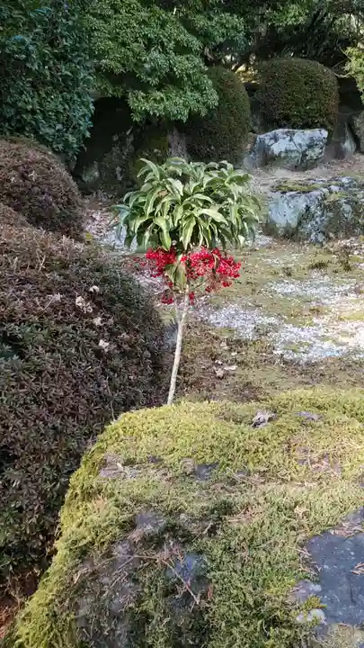三室戸寺(京都府)