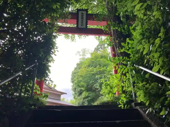 白笹稲荷神社の鳥居