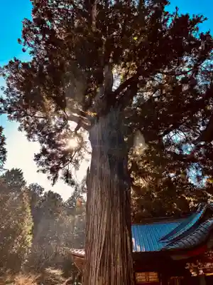 北口本宮冨士浅間神社(山梨県)