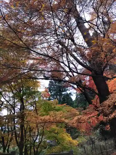鬼怒川温泉神社の自然