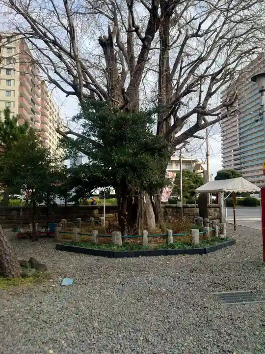 磐井神社(東京都)