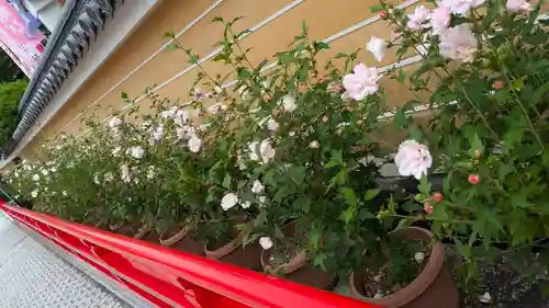 中山寺(兵庫県)