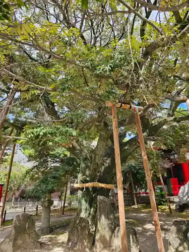 市原稲荷神社の御朱印