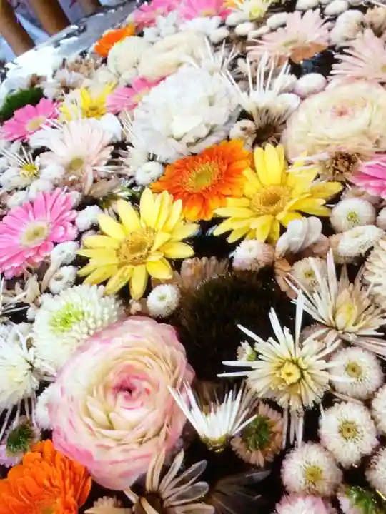 高円寺氷川神社(東京都)