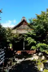 勝林寺(京都府)