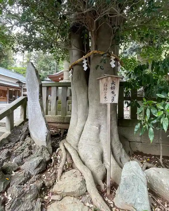 岩槻久伊豆神社(埼玉県)