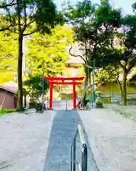 小湊神社の鳥居