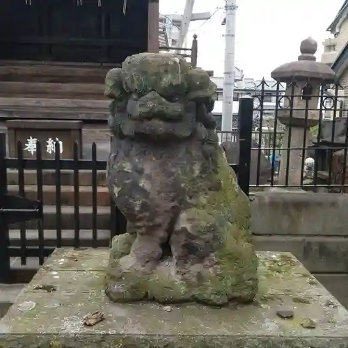 上平井天祖神社の狛犬