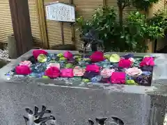 蛇窪神社の手水