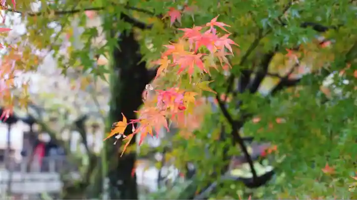 北野天満宮(京都府)