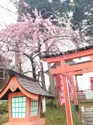 到津八幡神社のその他建物