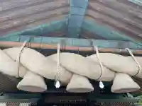 出雲大社(島根県)