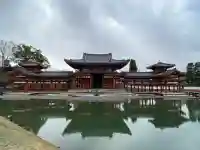 平等院の{uncategorized: "未分類", other: "その他", undefined: "問題あり", building: "その他建物", grave: "お墓", sacred_gate: "鳥居", guardian: "狛犬", statue: "像", buddha: "仏像", history: "歴史", nature: "自然", garden: "庭園", animal: "動物", pagoda: "塔", temizu: "手水舎", mountain_gate: "山門・神門", sanctuary: "本殿・本堂", subordinate: "末社・摂社", art: "芸術", scenery: "景色", jizo: "地蔵", ema: "絵馬", goshuin: "御朱印", omikuji: "おみくじ", items: "授与品その他", amulet: "お守り", goshuincho: "御朱印帳", eats: "食事", festival: "お祭り", votive_dance: "神楽", shichigosan: "七五三参", wedding: "結婚式", experience: "体験その他", initially: "初詣", around: "周辺", anti_infection: "感染症対策"}