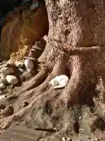 府八幡宮の動物