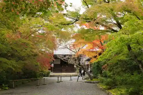 常照寺(京都府)