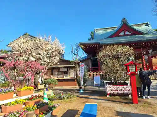 岡村天満宮(神奈川県)