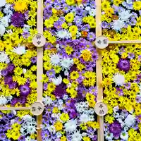 土津神社|こどもと出世の神さまの手水舎