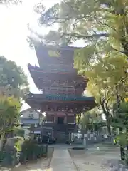 甚目寺の塔