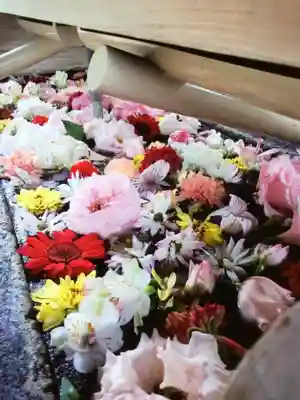 鳩森八幡神社(東京都)
