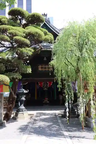 頂法寺（六角堂）の本殿