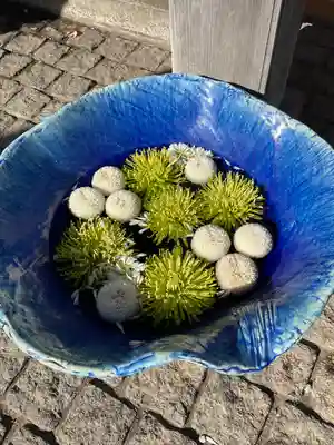 川越八幡宮(埼玉県)